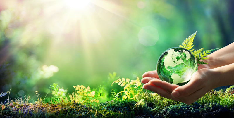 Investing in Sustainability: The Benefits of Vitrazza Glass Chair Mats