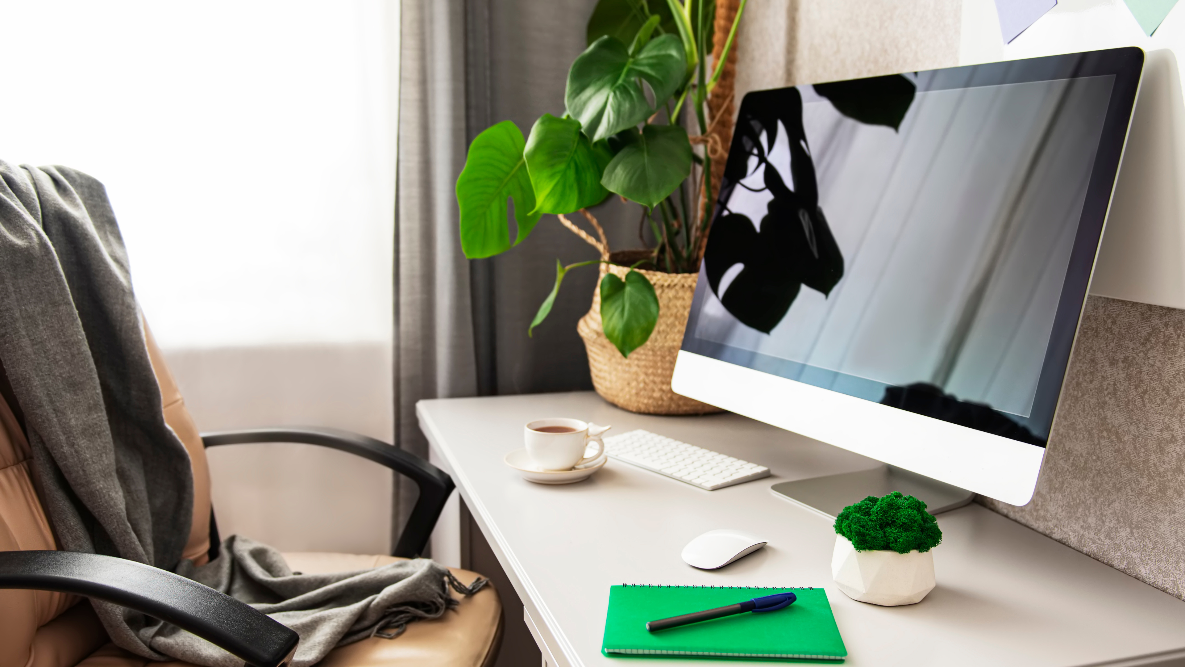 3 Benefits of Having Plants in Your Office